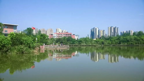 四川師范大學(xué)2021年普通高等教育本科招生章程